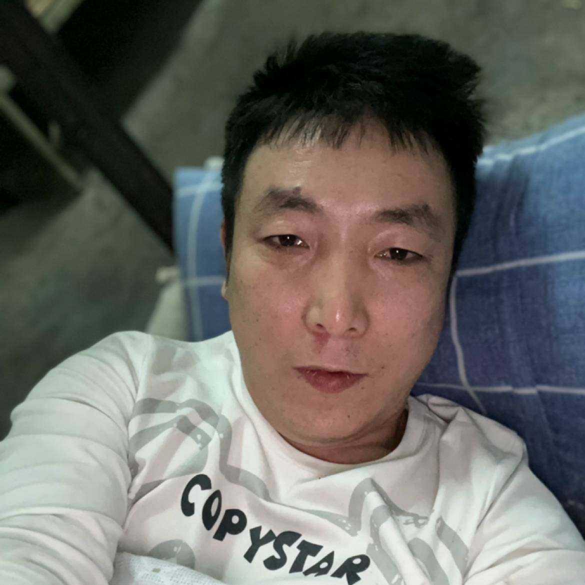 舒荷拿机智的照片