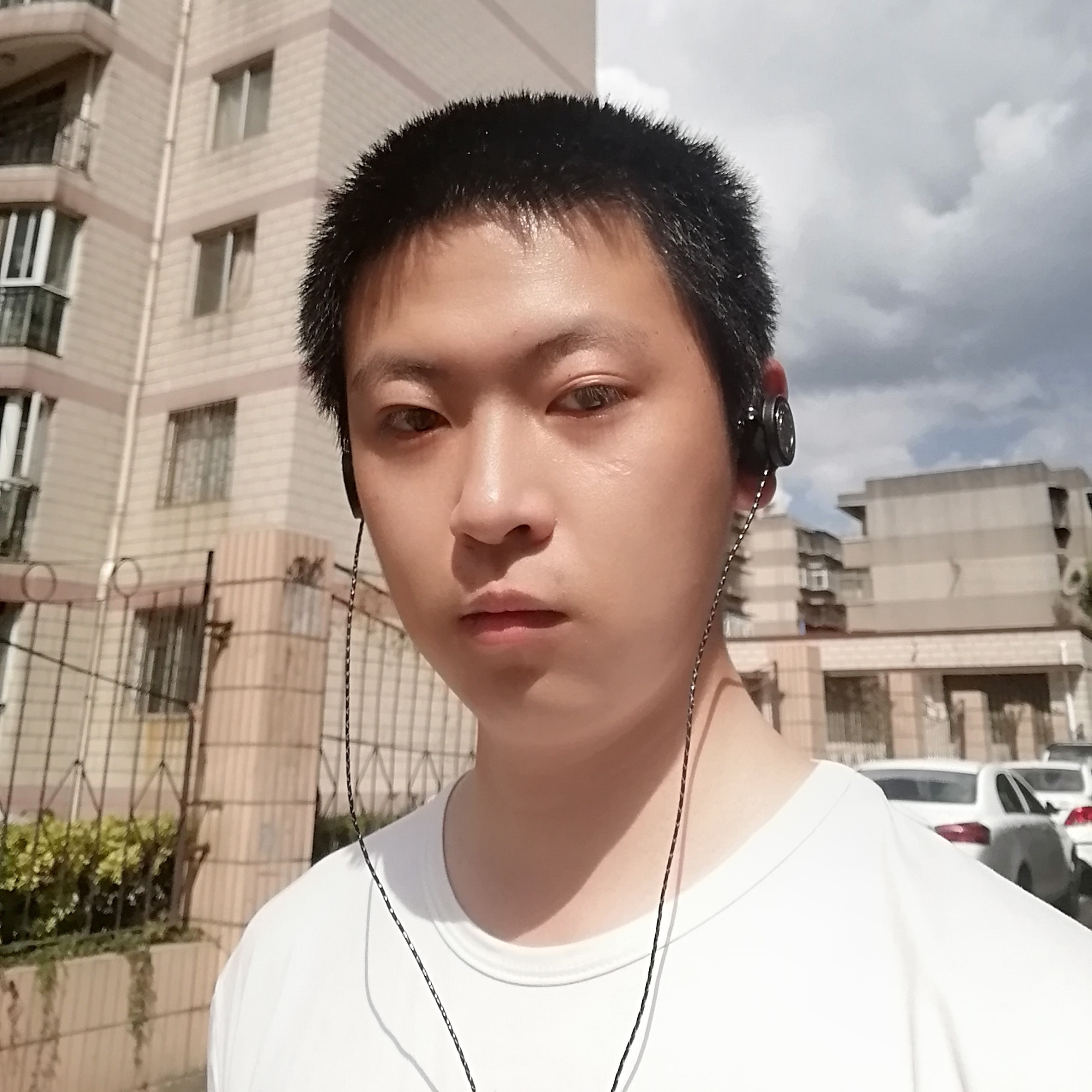 墨羽破风的照片