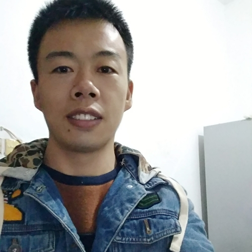 栗棕色的照片