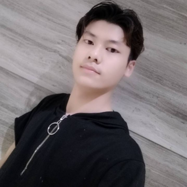 乐观苦恋大象的照片