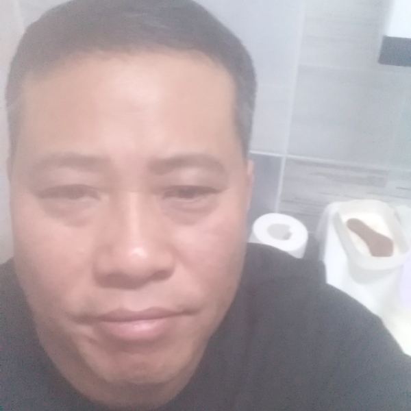 斑马寂灭的照片