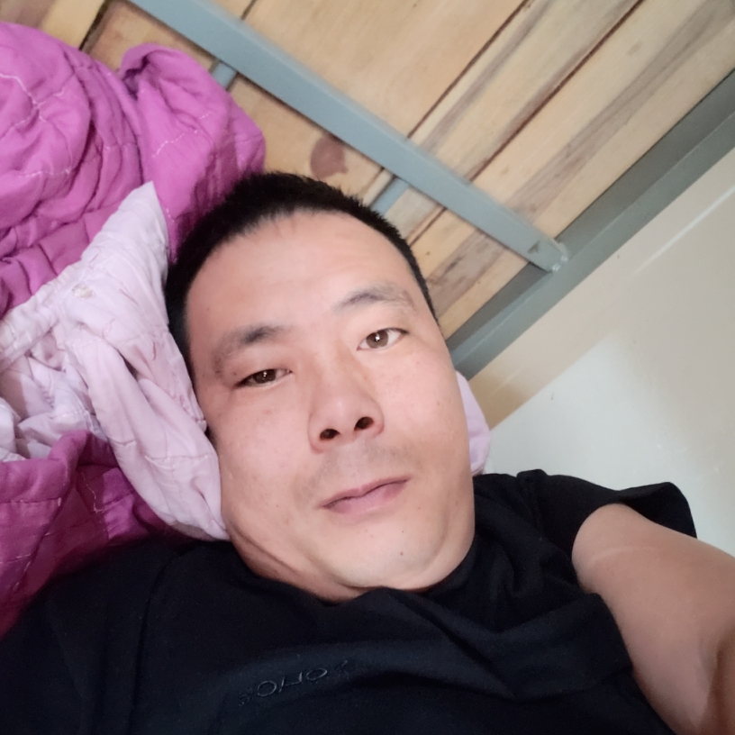 向日葵的健康的照片