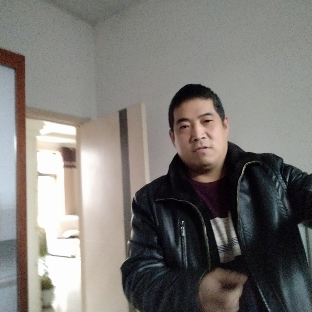 幽默还枫叶的照片