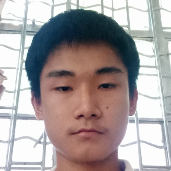 风趣苦恋树叶的照片