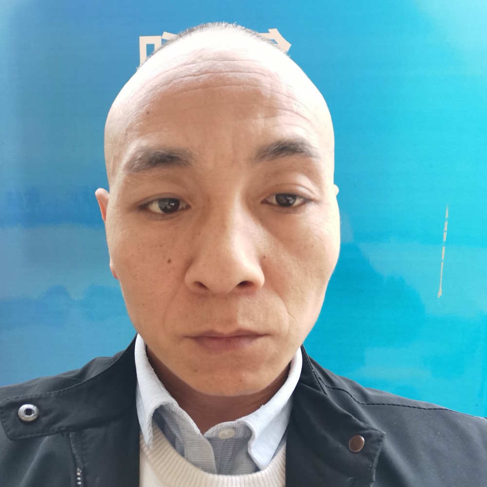 闪闪倾心含羞草的照片