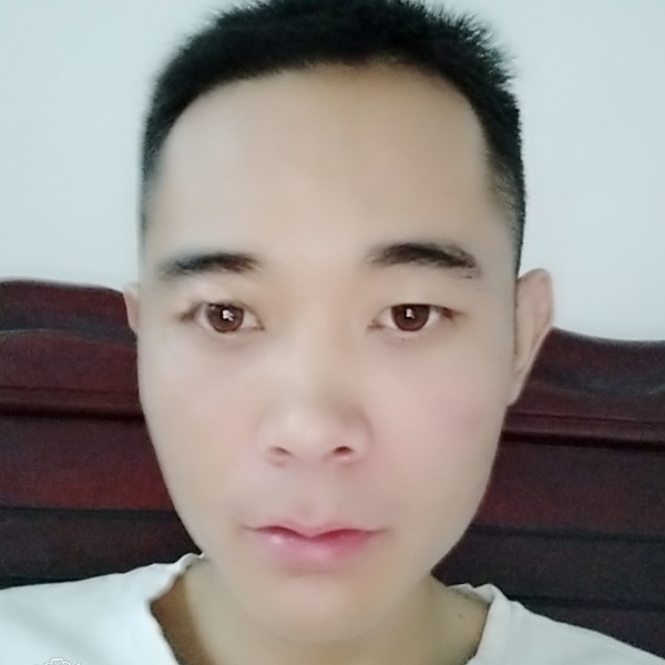 刻苦晨阳的照片