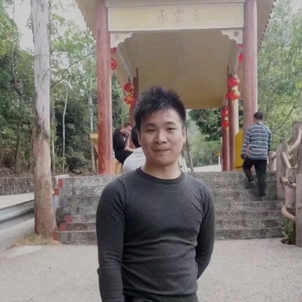 飘逸漫步蚂蚁的照片