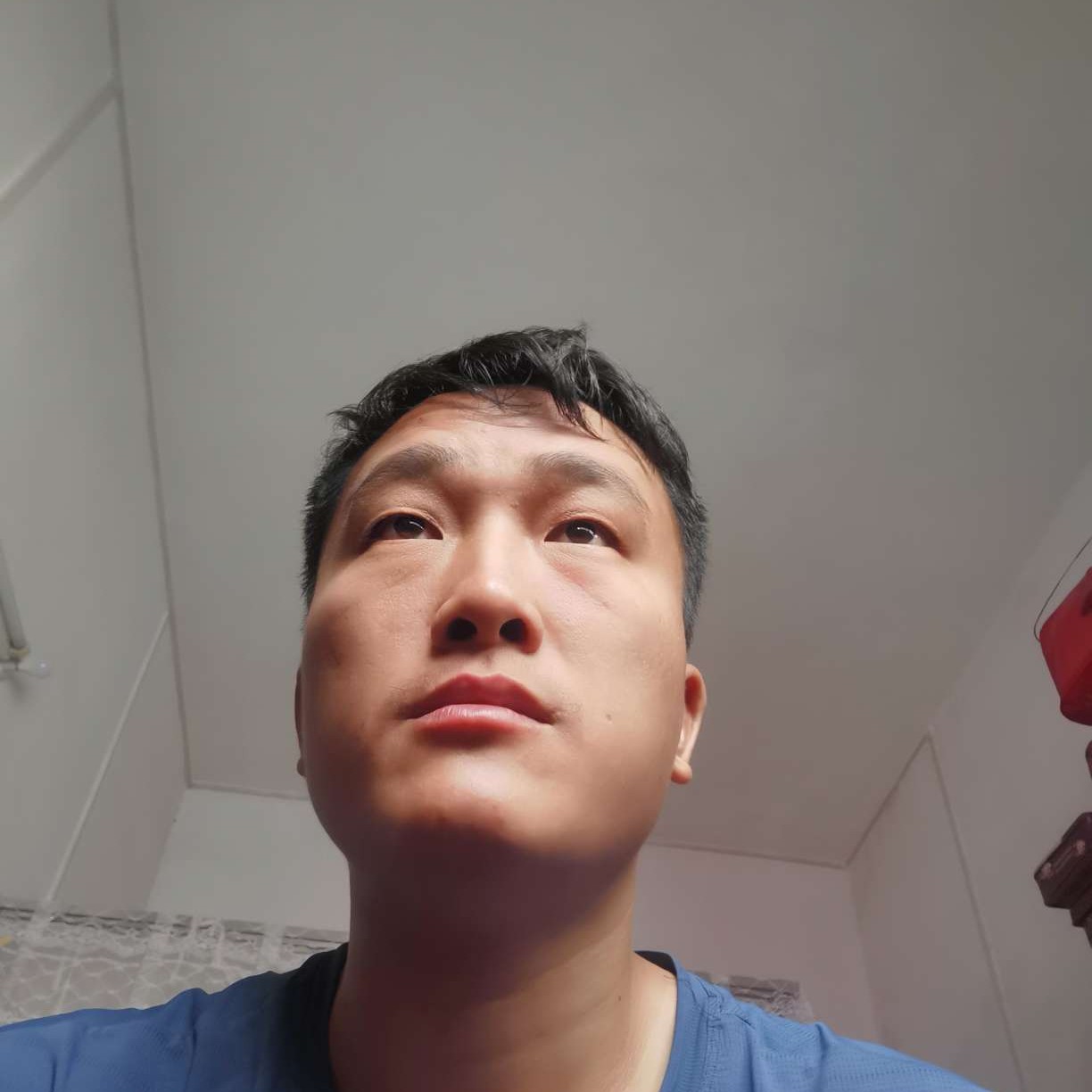 机器猫温婉的照片