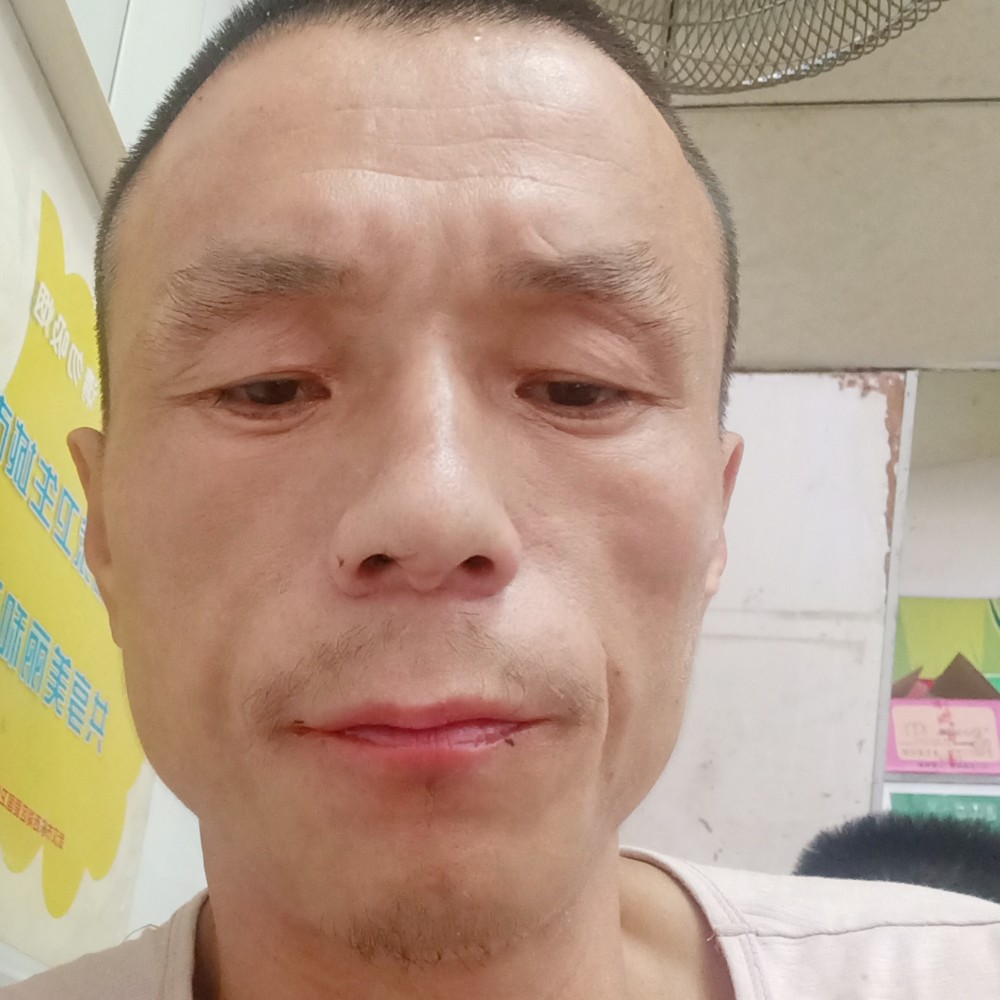 顺心向冷风653的照片
