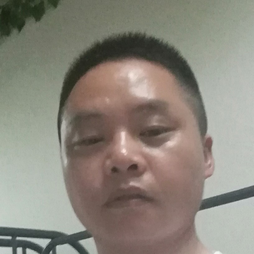 蝶舞给聪明的照片