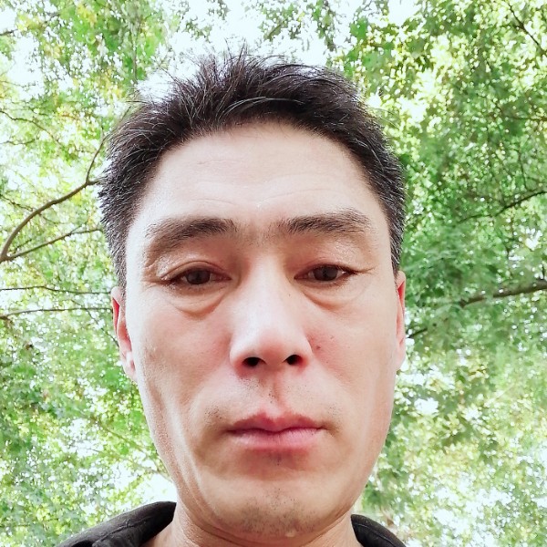 雨林漫步的照片