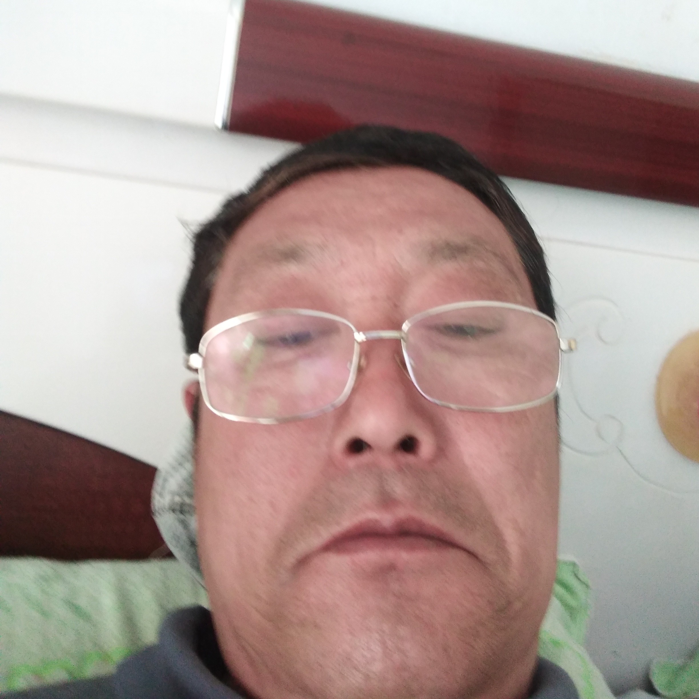 含羞草多么迷路的照片