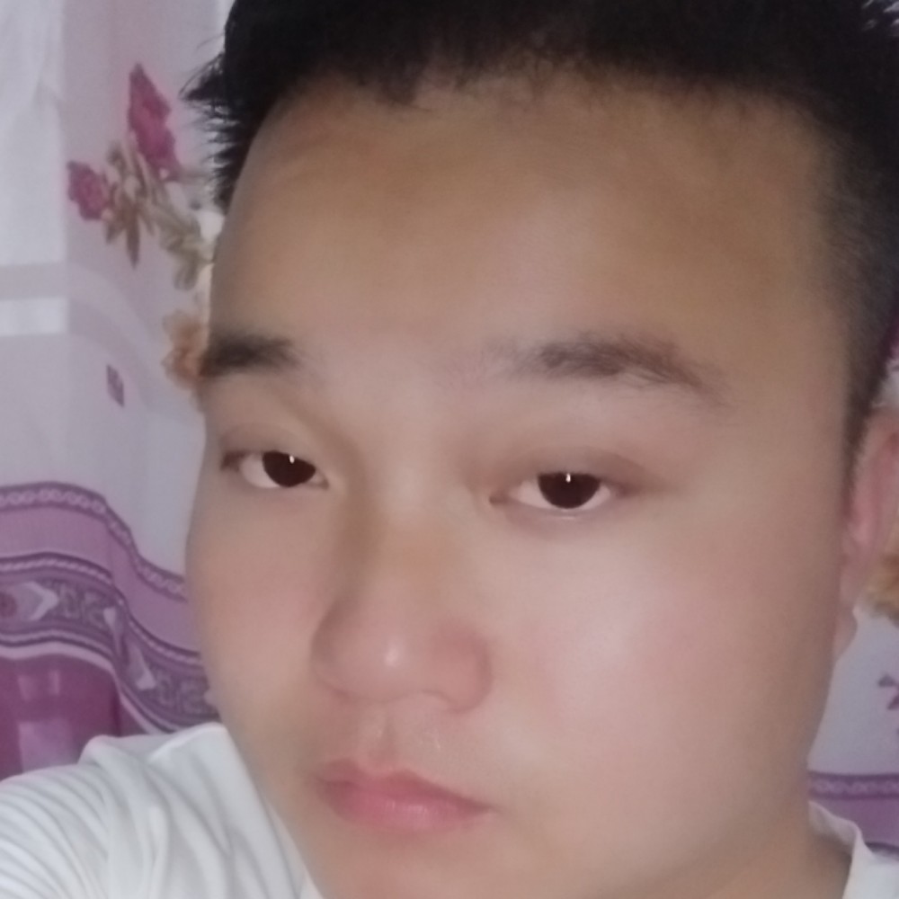 孝顺回眸海燕的照片