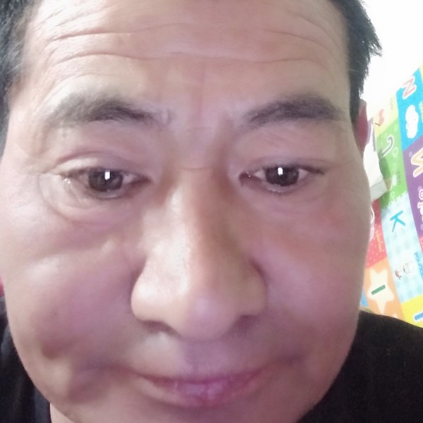 乌龟向繁荣的照片
