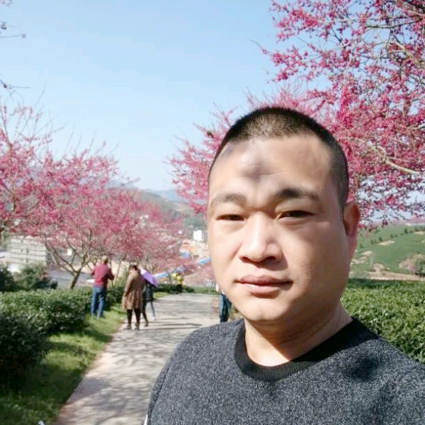 走失的灵魂的照片