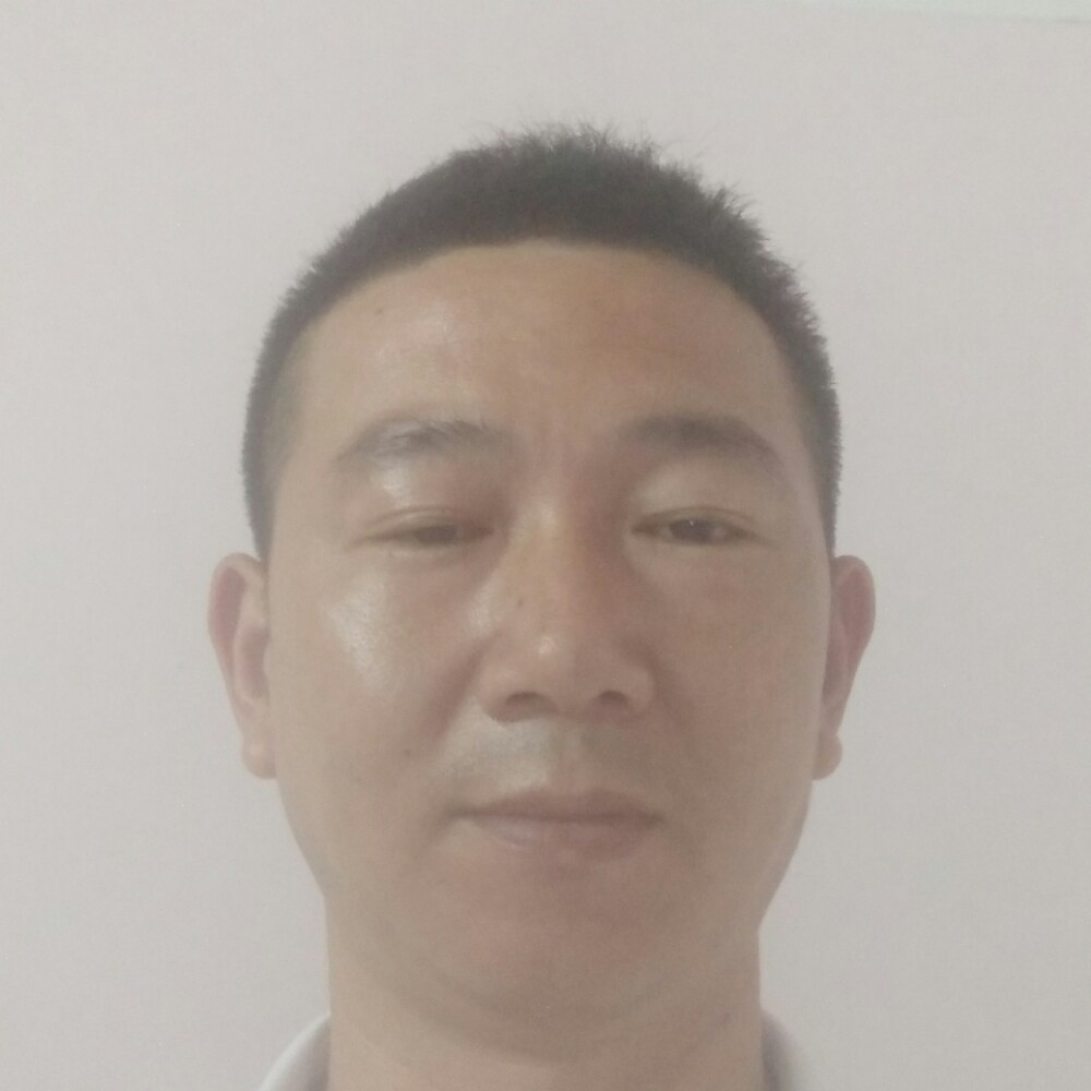 康乃馨苦恋乐观的照片
