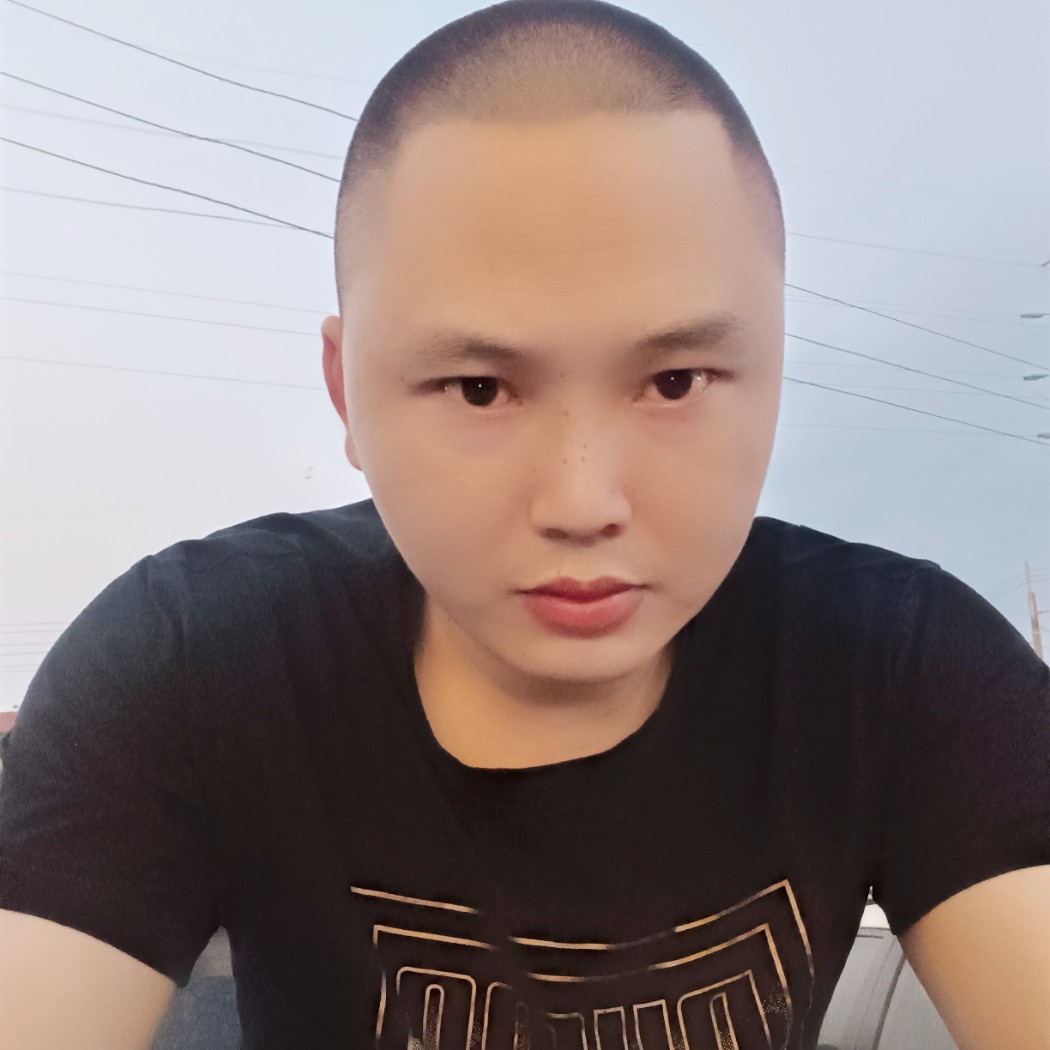 明亮的小蜜蜂的照片