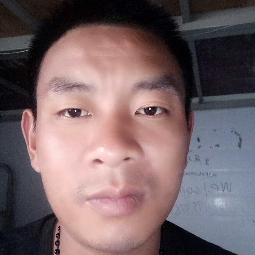 世界之星的照片