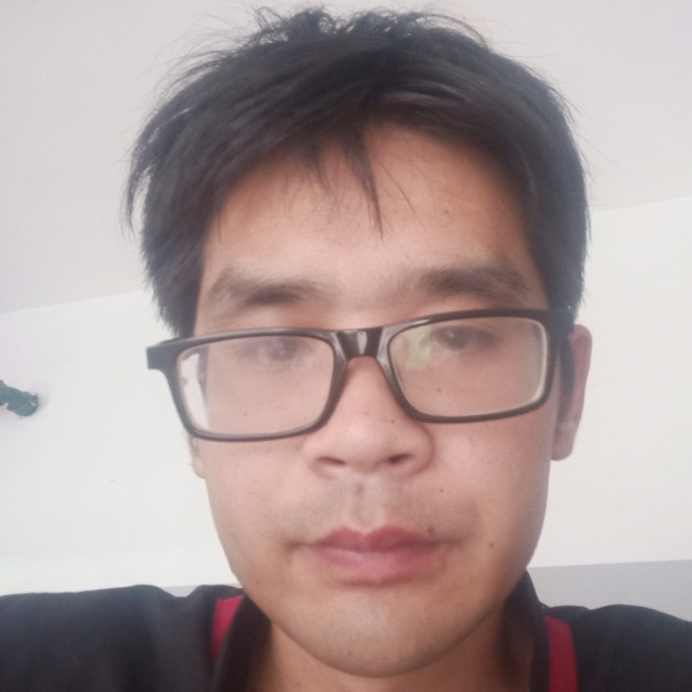 笨蛋多的照片