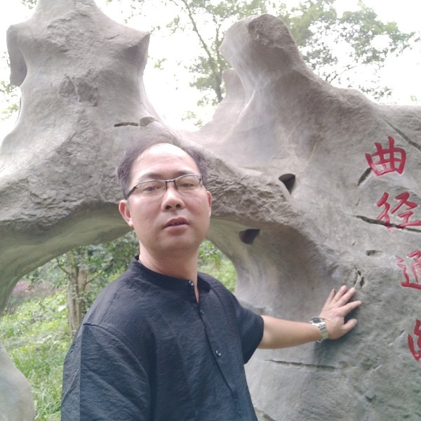 绿草等待乐观的照片