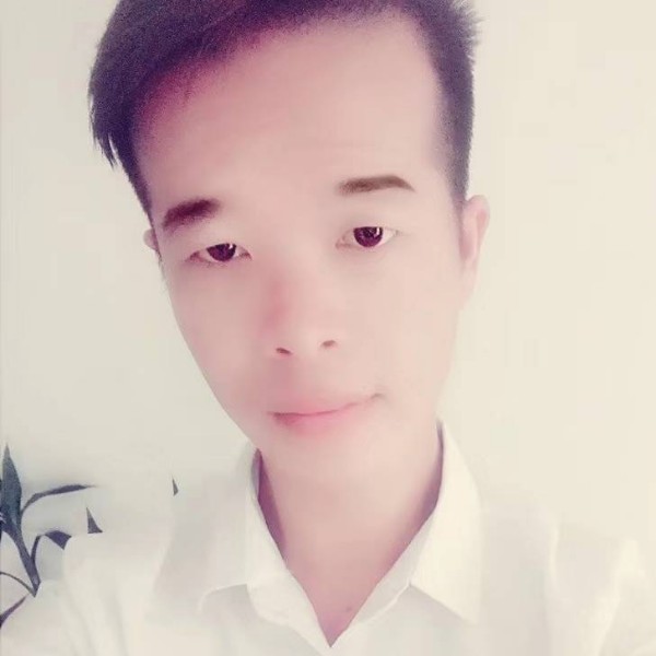 流浪的闲猫的照片