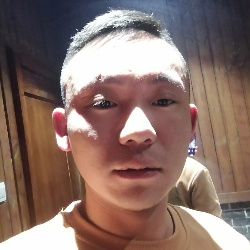 猫咪回眸害羞的照片
