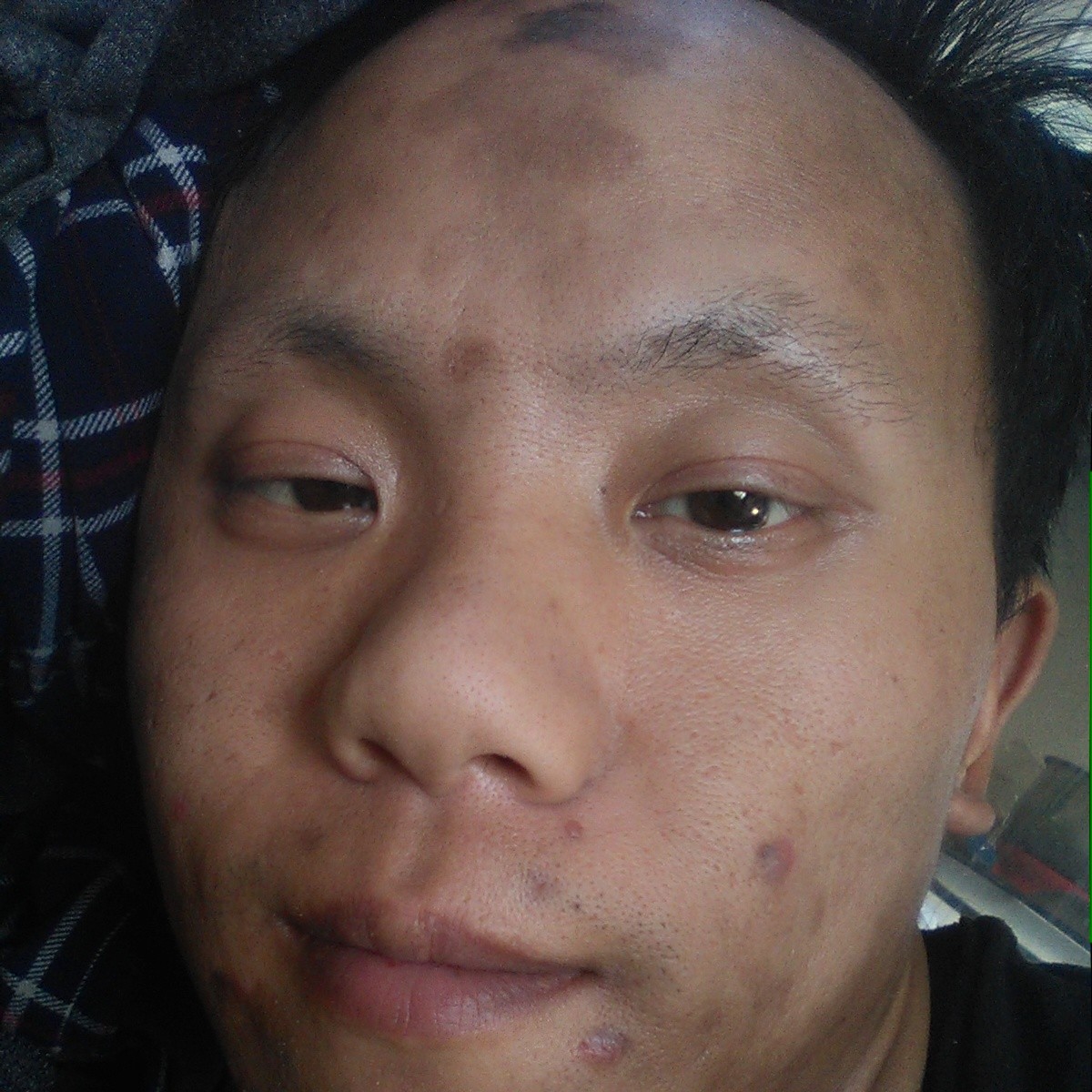 无辜懒猪的照片