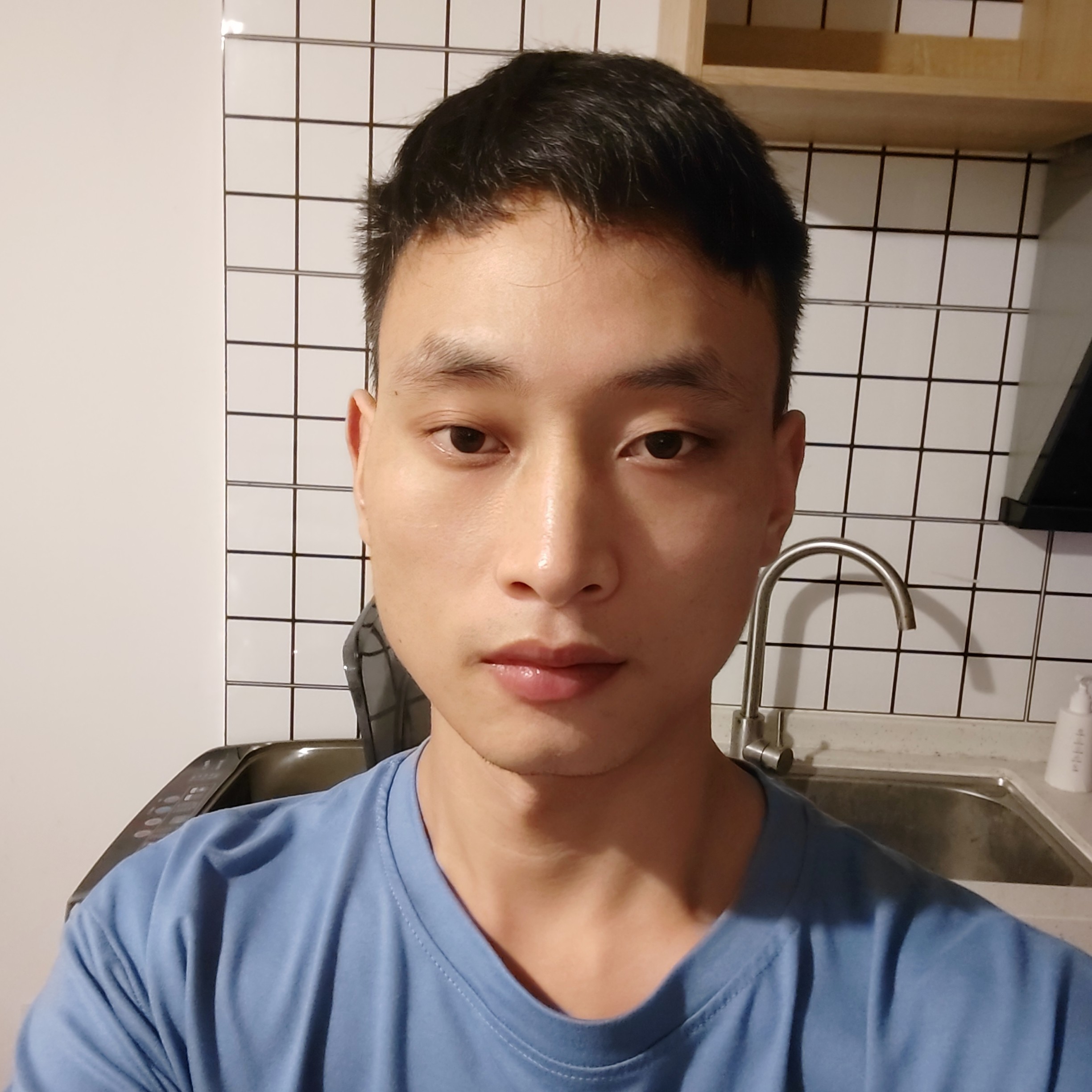 旧时光打小海豚的照片