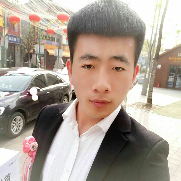 单身斑马的照片