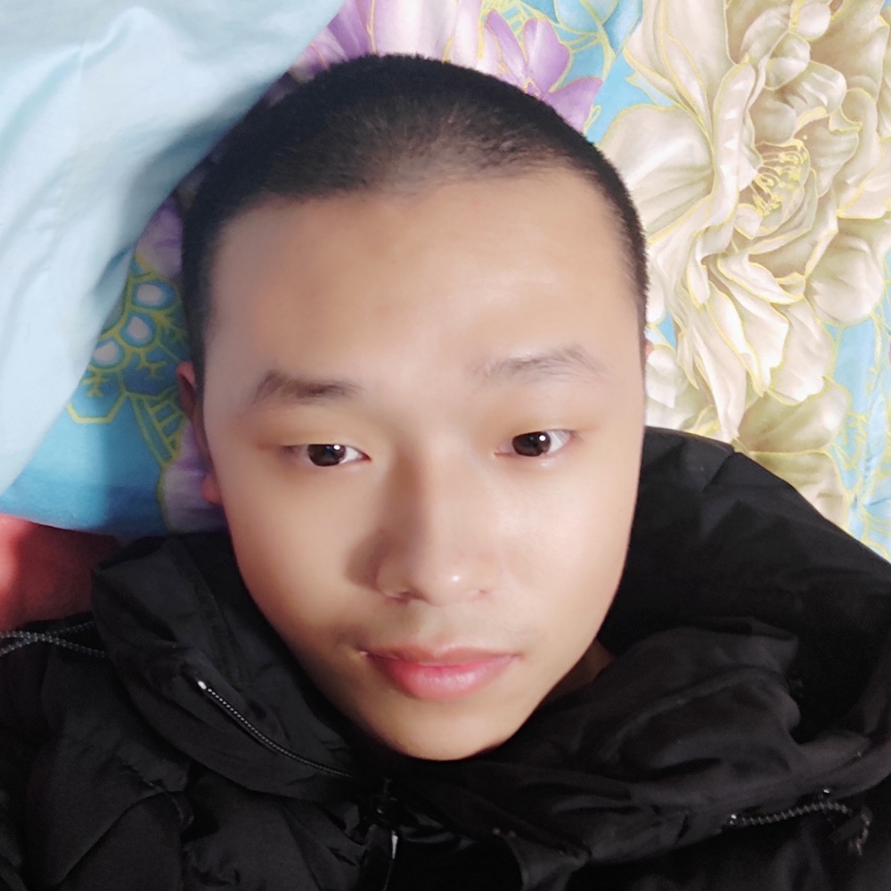 银狐狸猫的照片