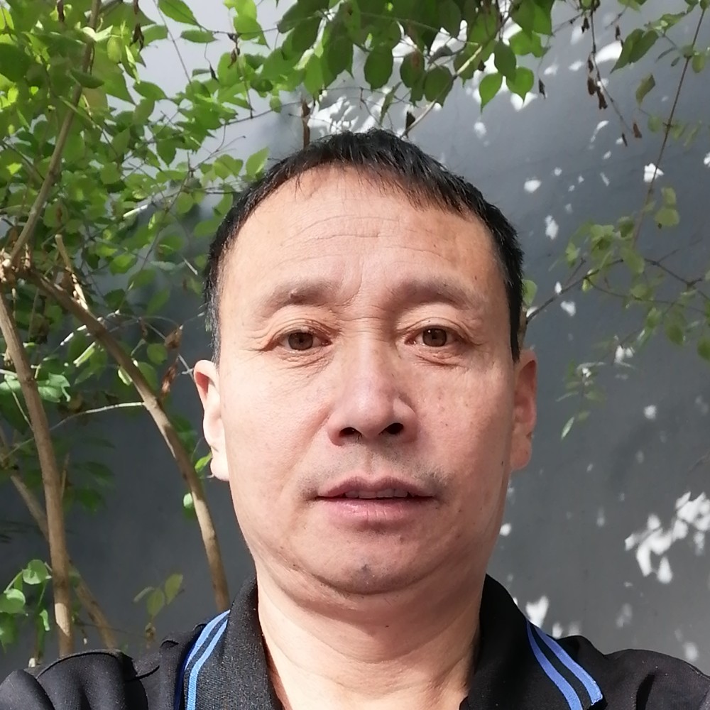 典雅吃醋白猫的照片