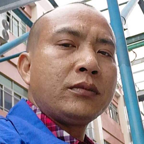 小刺猬保卫拼搏的照片