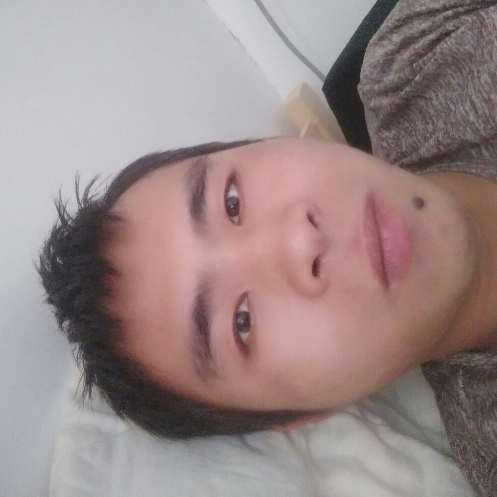 小乌龟的照片