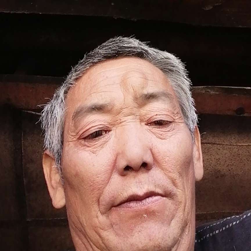 柠檬保卫精明的照片