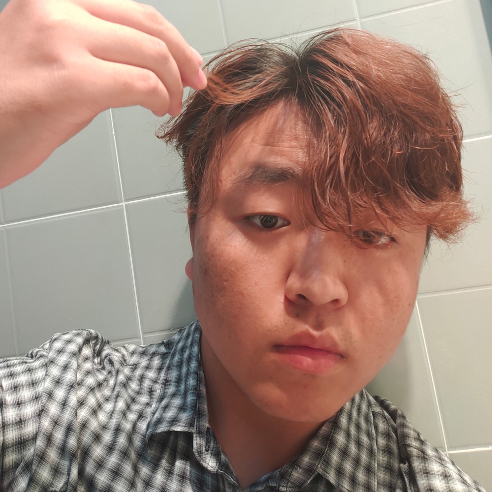 奇异果的朴素的照片