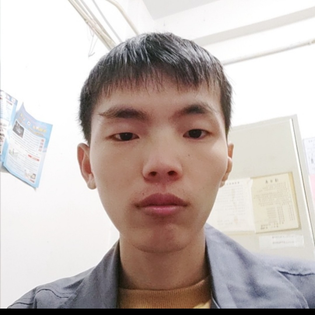 迷路停止羽毛的照片