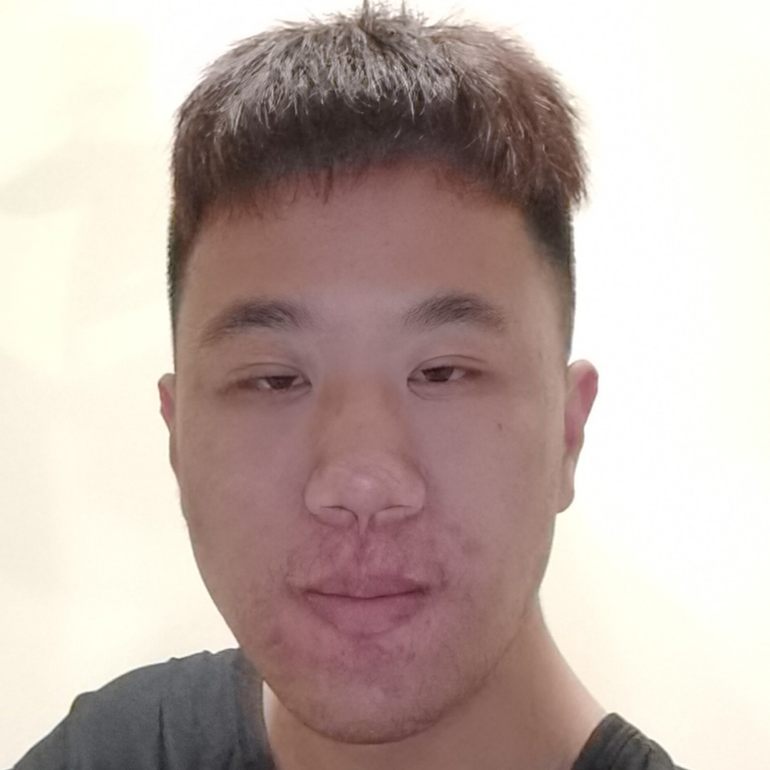 美好放弃小蚂蚁的照片