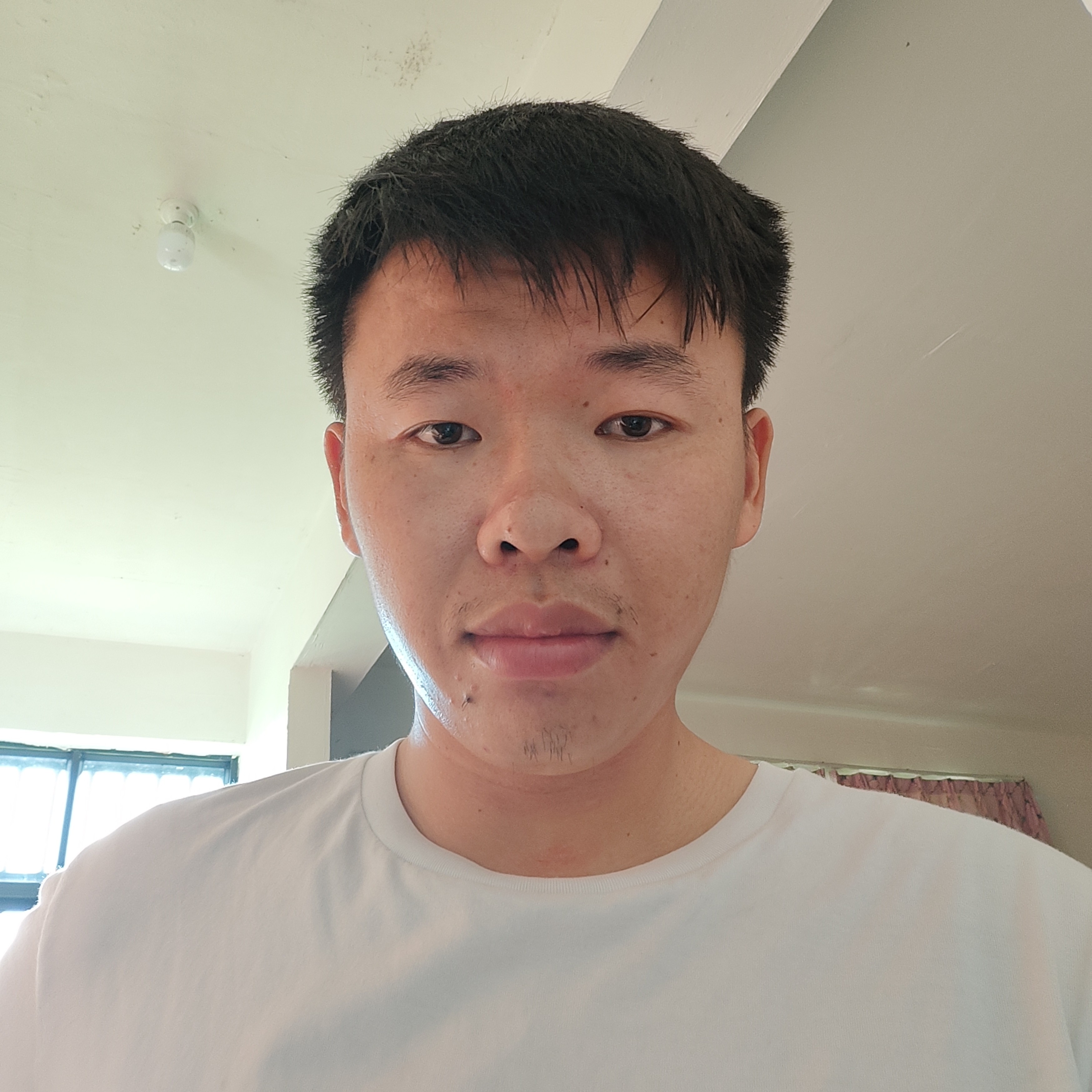 木水木的照片