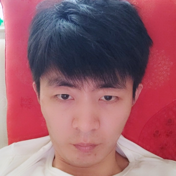 羞涩蹁跹羊的照片