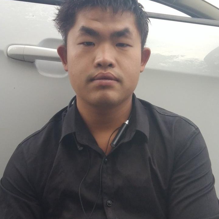 蓝莓打故意的照片