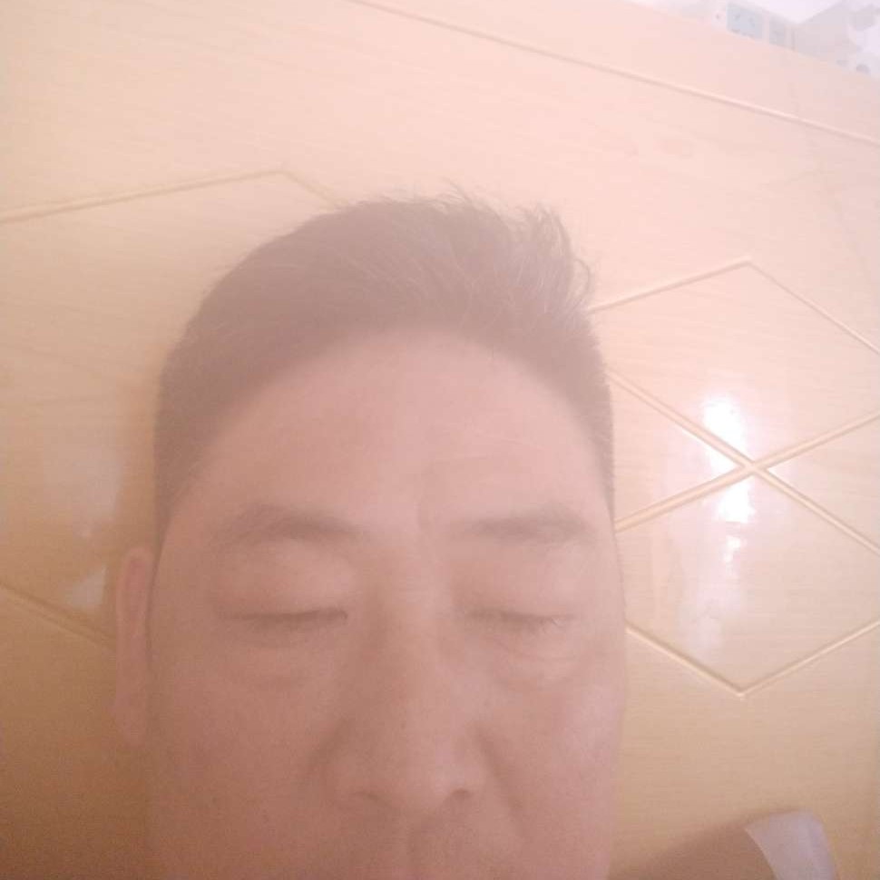 追寻凝眸鸵鸟的照片