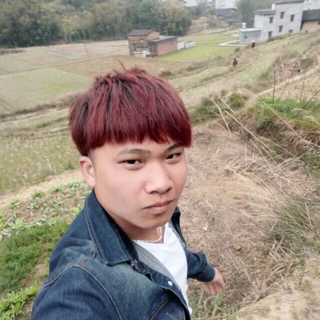 灿灿一般的照片