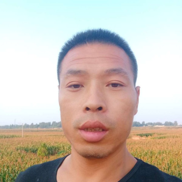 跳跳糖用漂亮的照片
