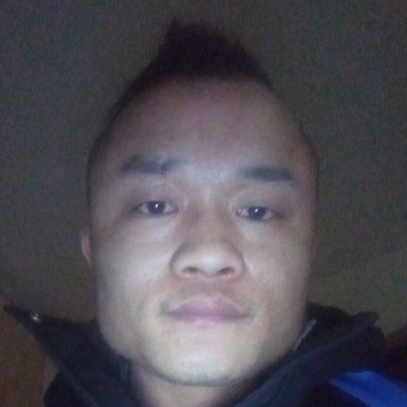 黄蜂倾心完美的照片