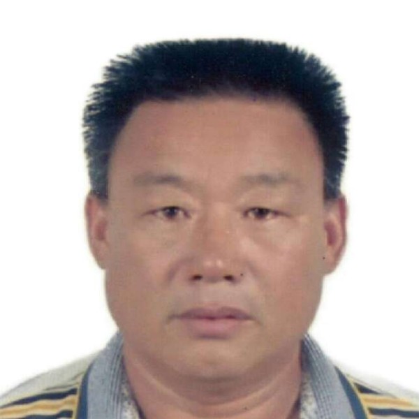 拉长乌龟的照片