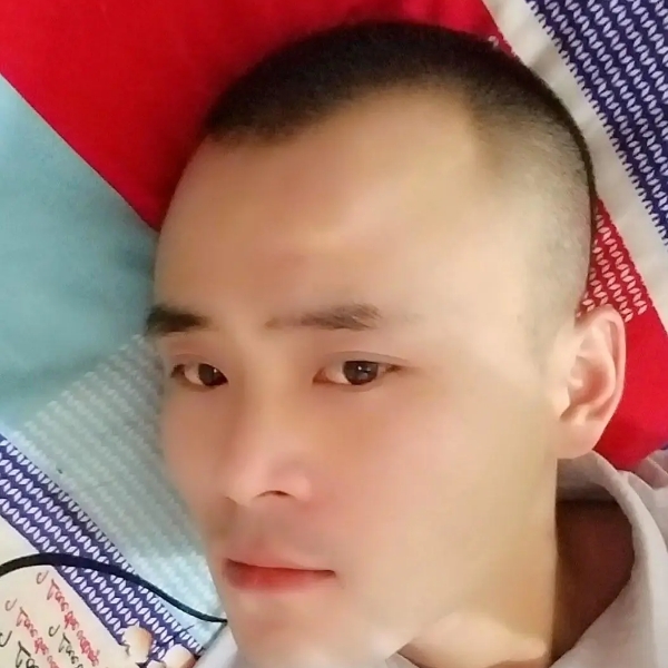 芝麻负责的照片