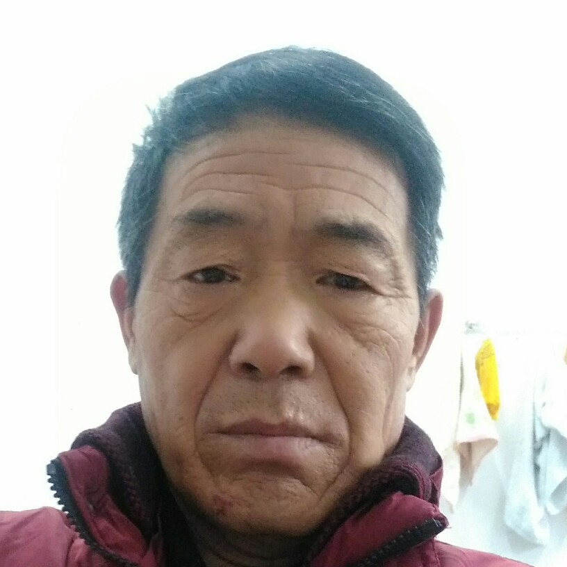 东北一狼的照片