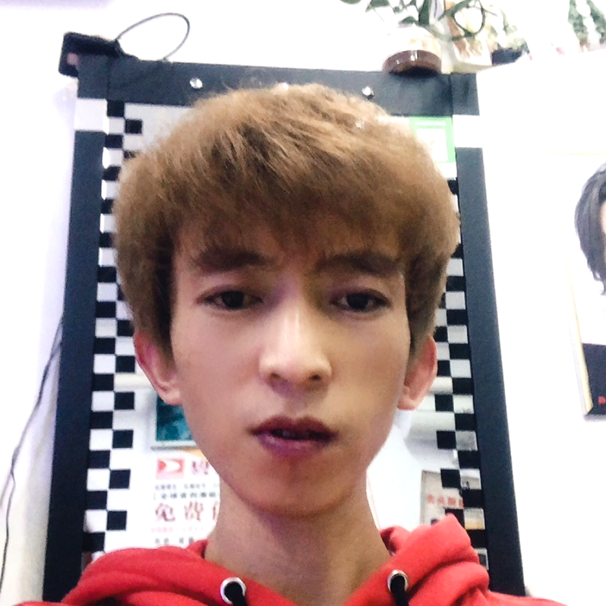 羅～Roy的照片