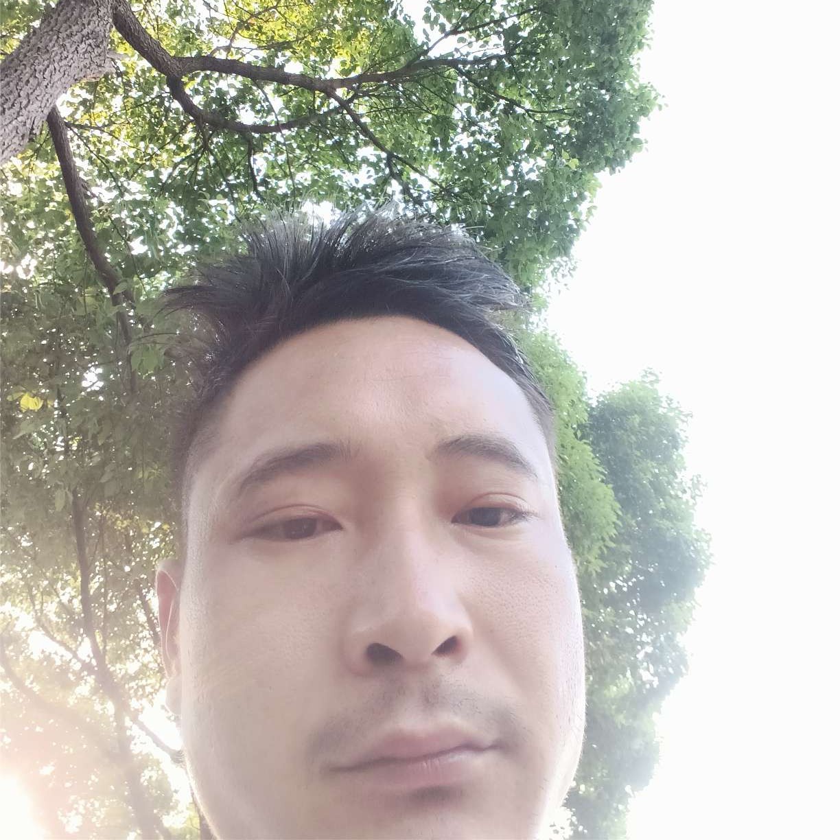暖风吹过的人的照片