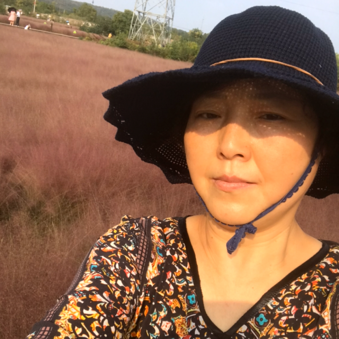 从容与红玫瑰的照片